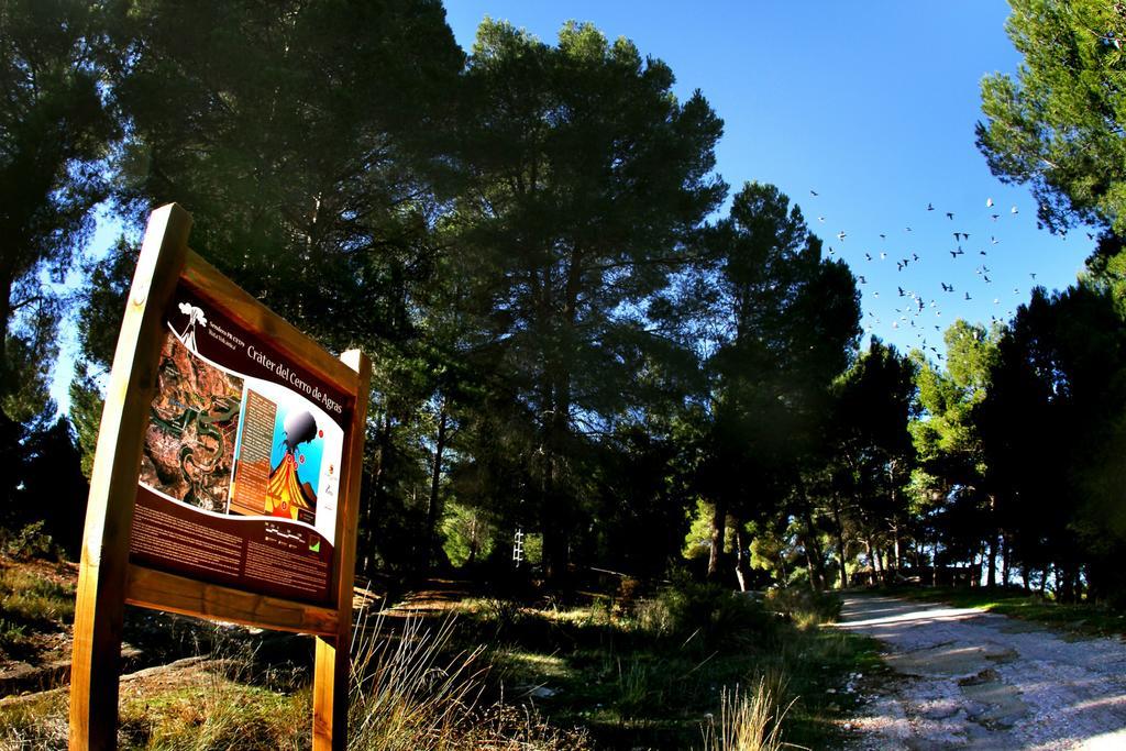 Balneario De Cofrentes Hotell Exteriör bild